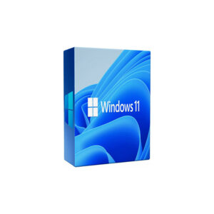 Microsoft Windows 11 Professional 64-bit DSP English